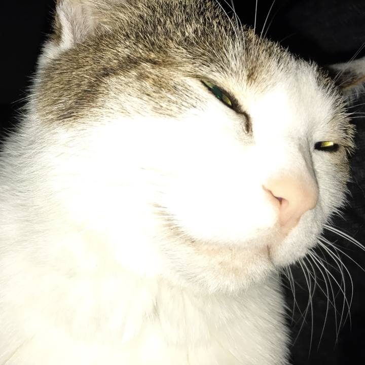 Ded5dc61 59c1 4385 8615 084989fde575 1756529711634