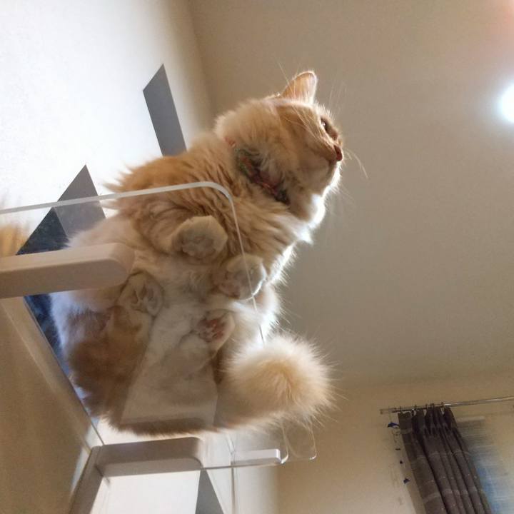 Ded5ee55 1242 42d0 8d38 7044028dadd8 1644529744692