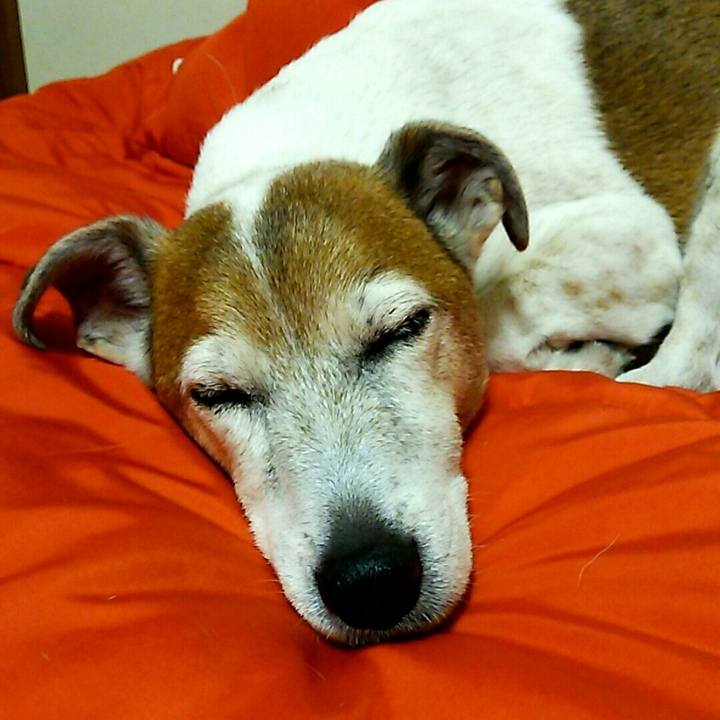 Ded60da5 c002 4cd7 ae83 e4939fb960b8 1516111792804