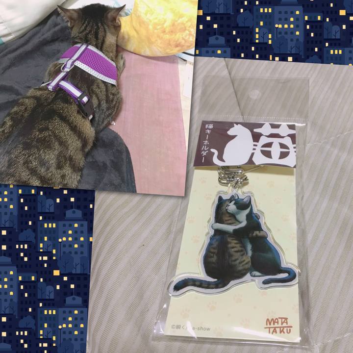 Ded612e9 e4af 496b 8ee6 fa8296b7fbd0 1568744110314