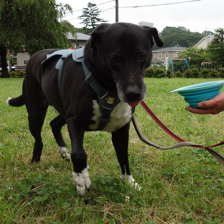 Ded62edf d7ae 4f68 9979 243ce40aea77 1717289592212