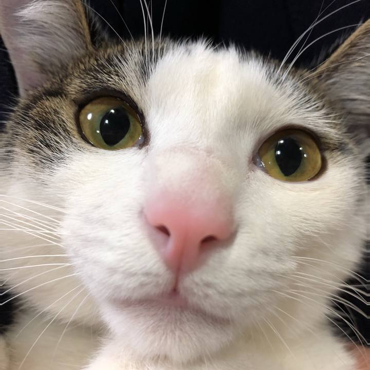 Ded63af0 eb41 41f8 beca 928c8d4ec9bf 1579341918936