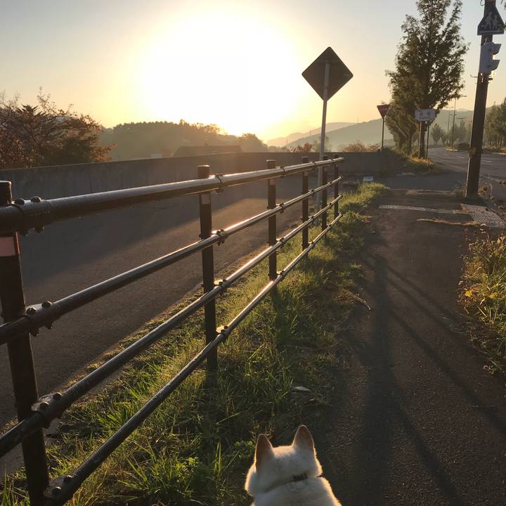 Ded63fcd a8d6 4609 ab0f 3dd055cf6171 1540292335389