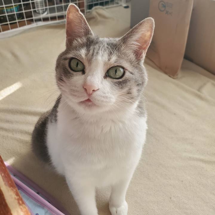 Ded6d5ac e550 44dd be76 da744d9525be 1706795964836