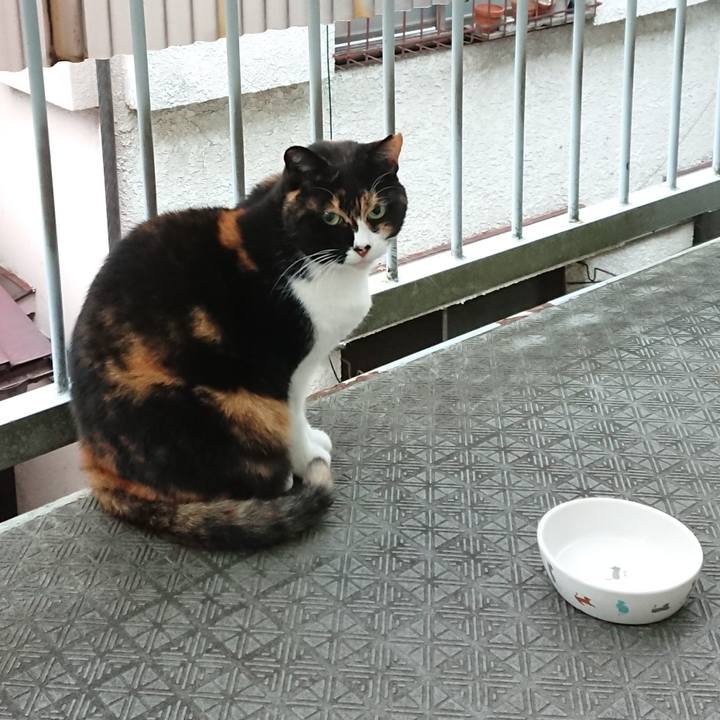 Ded6ff5a c245 453a 9941 0edfaa364b58 1666756110241