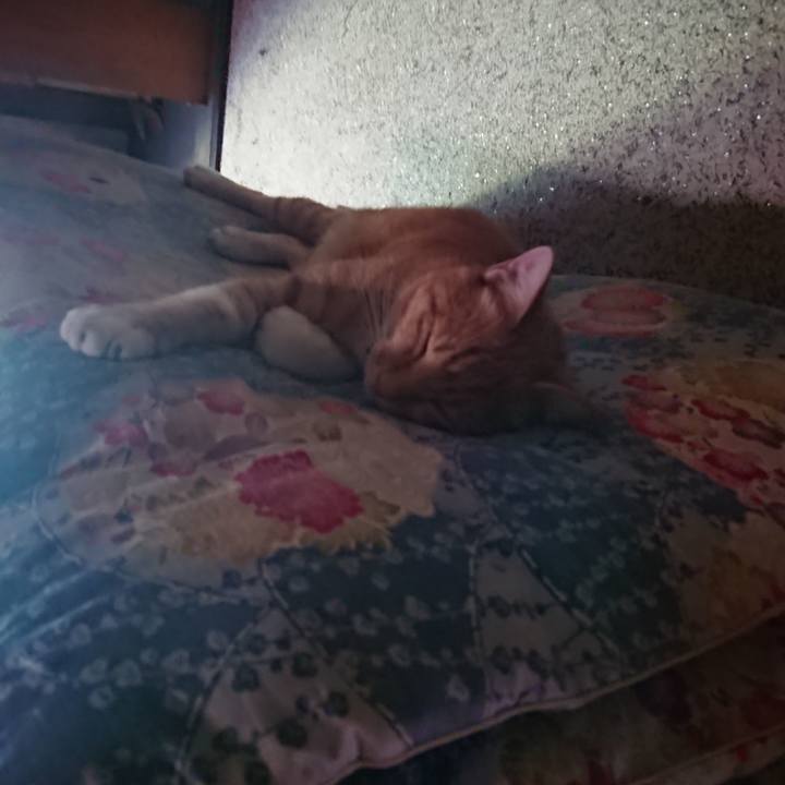 Ded745ef 4fb3 4994 9940 3a485e645d57 1598225193941