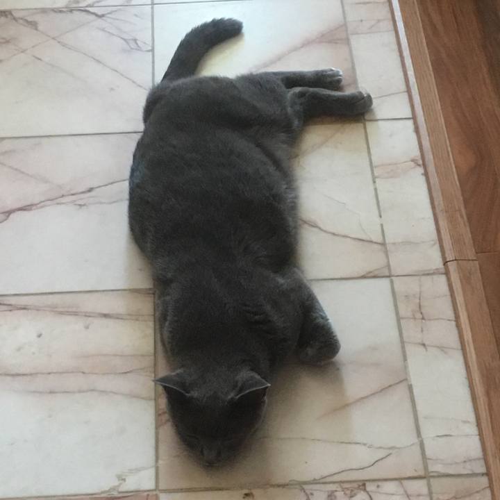 Ded749c5 cfb6 4ed5 bc15 2bff48a7e8c5 1659484940656