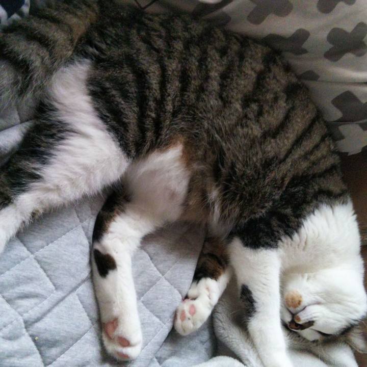 Ded7ae68 39ad 4624 b61c 584c1a8b2cb6 1628594875211