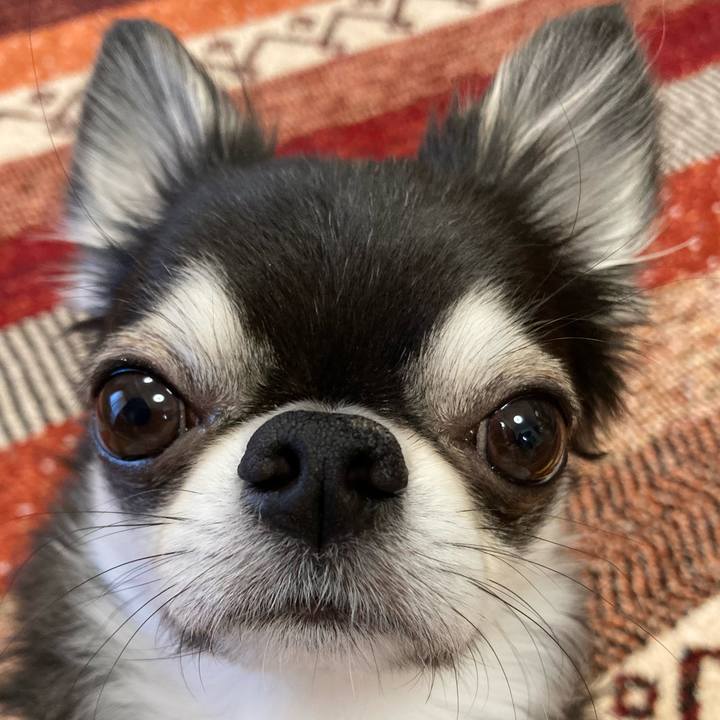 Ded7b970 4381 4064 878b d1236b2cb873 1672699678973