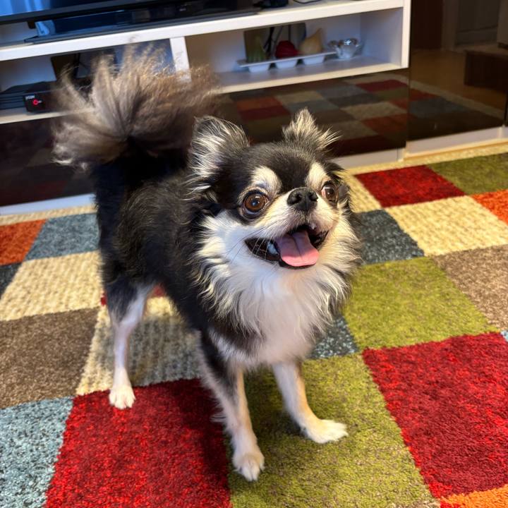 Ded7d279 c8bf 466e 808f 4ae2698b52c1 1758387544326