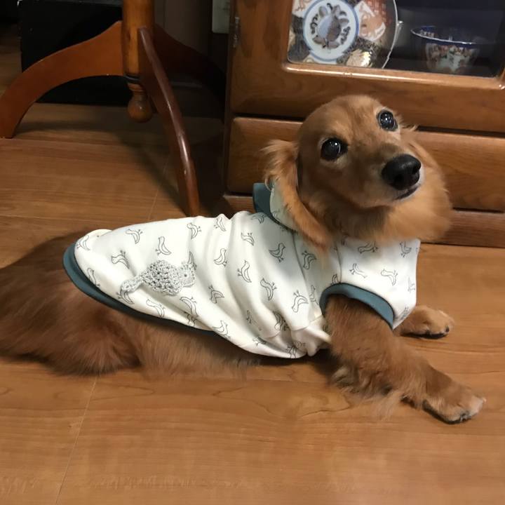 Ded7dac5 04a1 4619 82da 31573d4e86ed 1562404806032