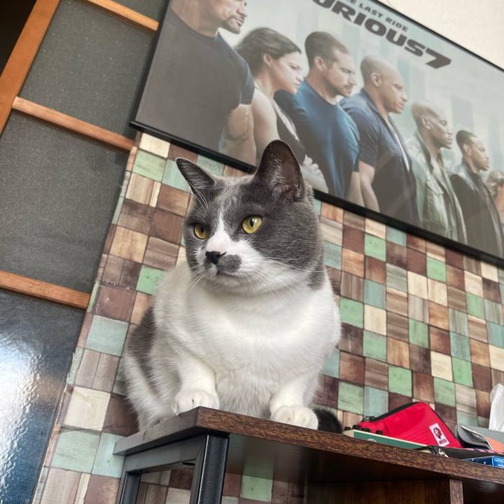 Ded7fce7 8176 4a83 a6e0 96f932eba82c 1701567493343