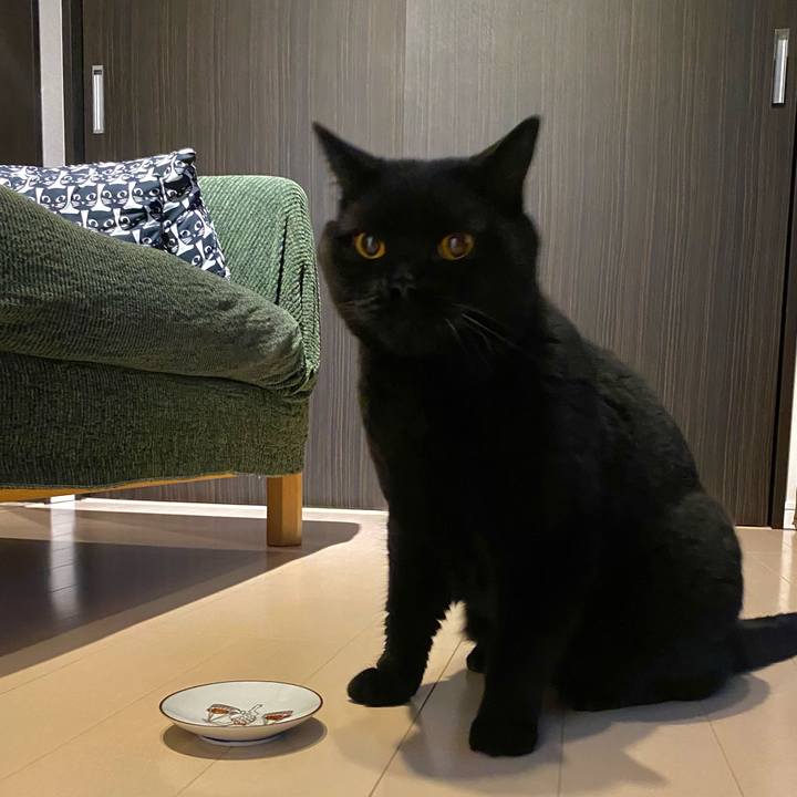 Ded81c99 c81d 4b1f 8189 a693561180e3 1627212105105