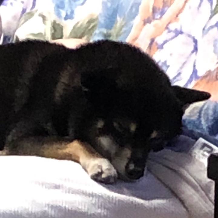 Ded86332 d6ce 49cb 8ba2 0f222a3ed829 1547422402850