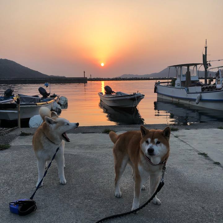 Ded872d8 c12d 4dc4 b023 9a515c869fce 1554638612645