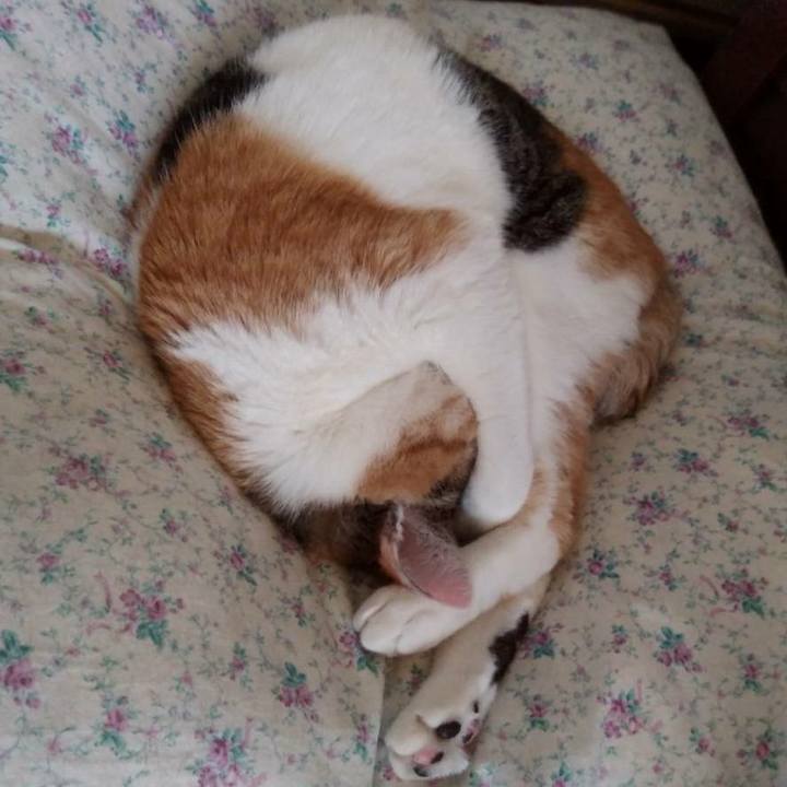 Ded9a883 693b 44cd 8970 a10645c6f607 1617860086995