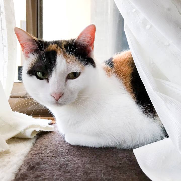 Ded9f730 0438 445c a794 15af12a63573 1525960940049