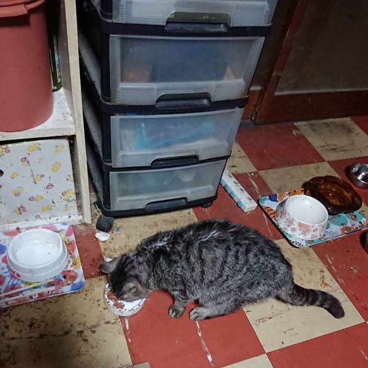 Deda3025 285e 47de a987 a39eaee4722f 1583699063718