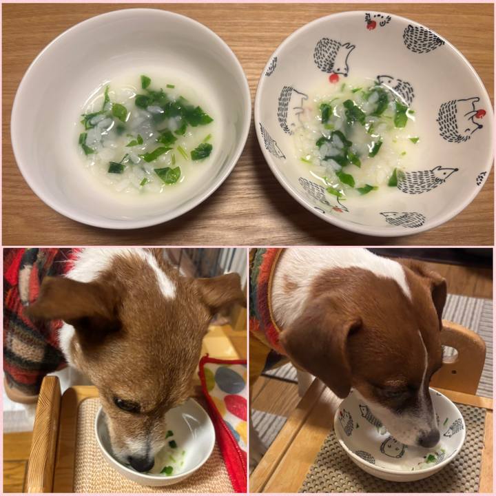 Deda9416 9032 439b 8205 45598b62dc32 1767784130467