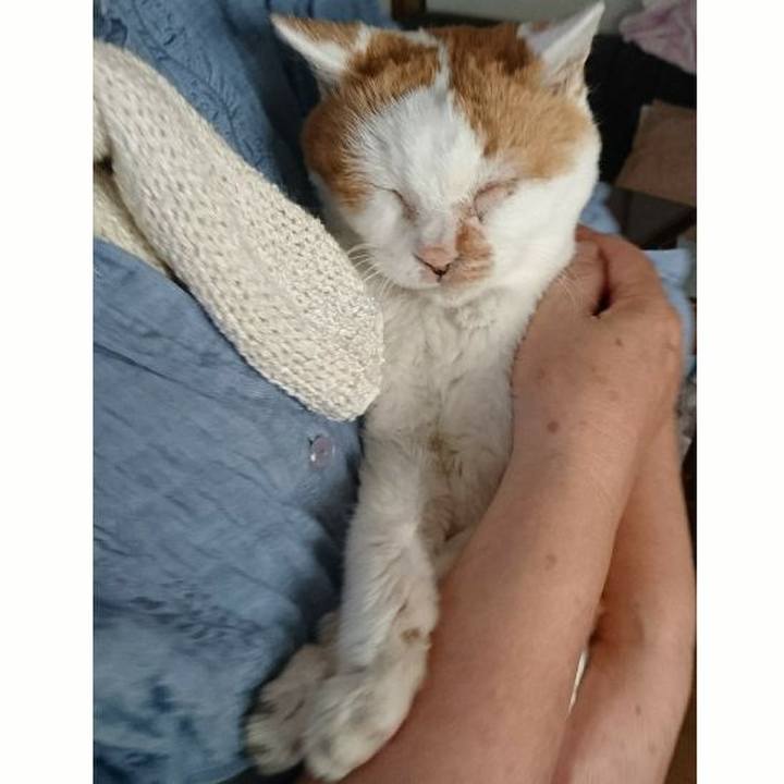 Deda97e2 01fc 433a b09f a87b7b72fb82 1600499920919