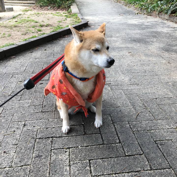 Dedabddc b852 4d62 a075 1a61e8d36cc6 1581923407580