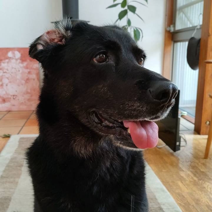 Dedaf6cf a7f8 4797 a550 2a2462814a46 1694989289685