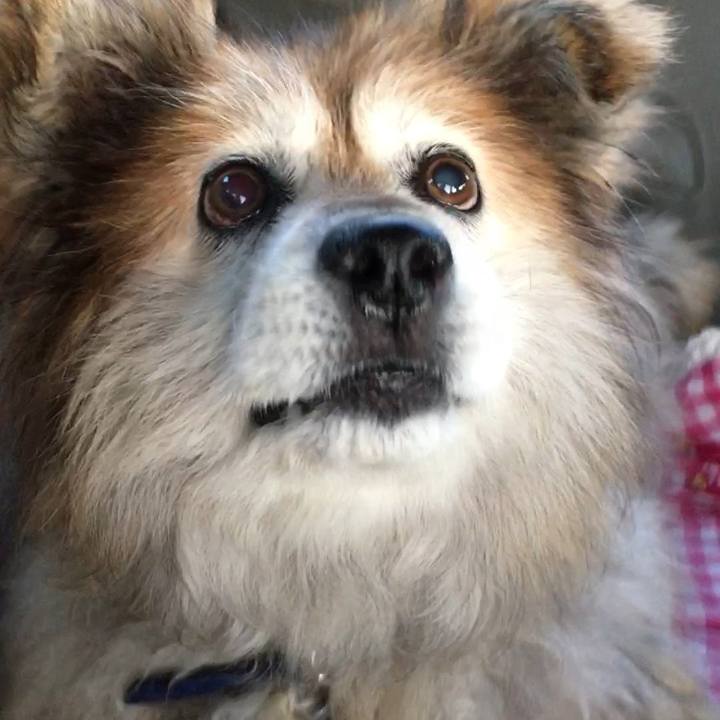 Dedaff06 dfe9 4df0 833c 2db18c5a1cd2 1613836216192