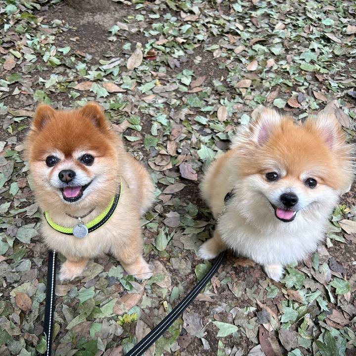 Dedb0680 6fe5 484a 8acb d6fa89398ddb 1685258186360