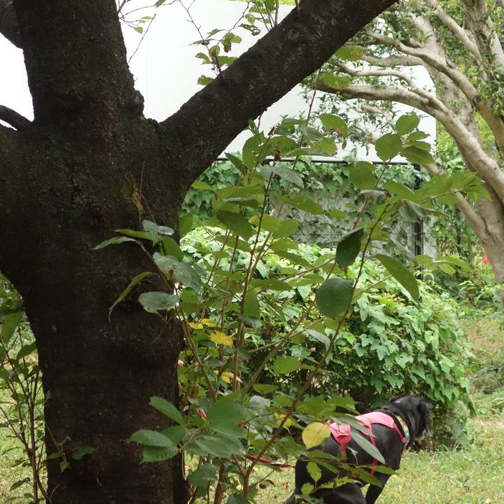 Dedb44c7 a038 44de a087 1eb2f550a59d 1690847904155