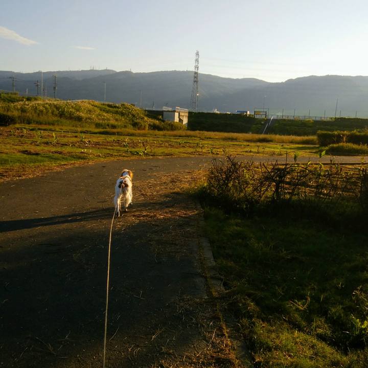 Dedb4de3 4aef 4999 95a7 d2163b053b78 1539734657957