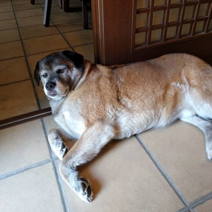 Dedb94c2 e70f 4a0e b018 1ca0be01abb6 1725668515369