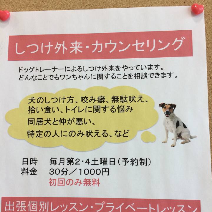 Dedba554 3c83 4063 bd32 14faf7bf923b 1535451876825