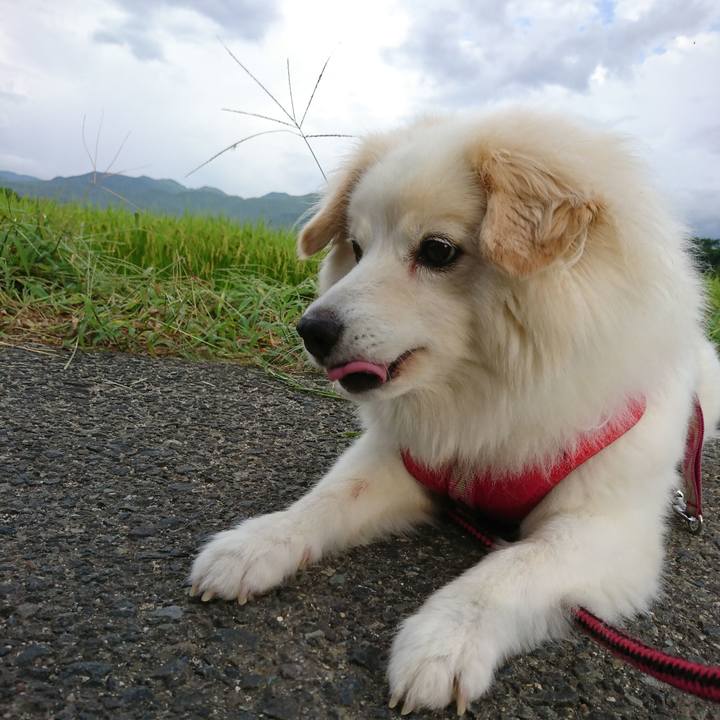 Dedbbaab c557 492e aa31 ba376cafe93b 1535233051410