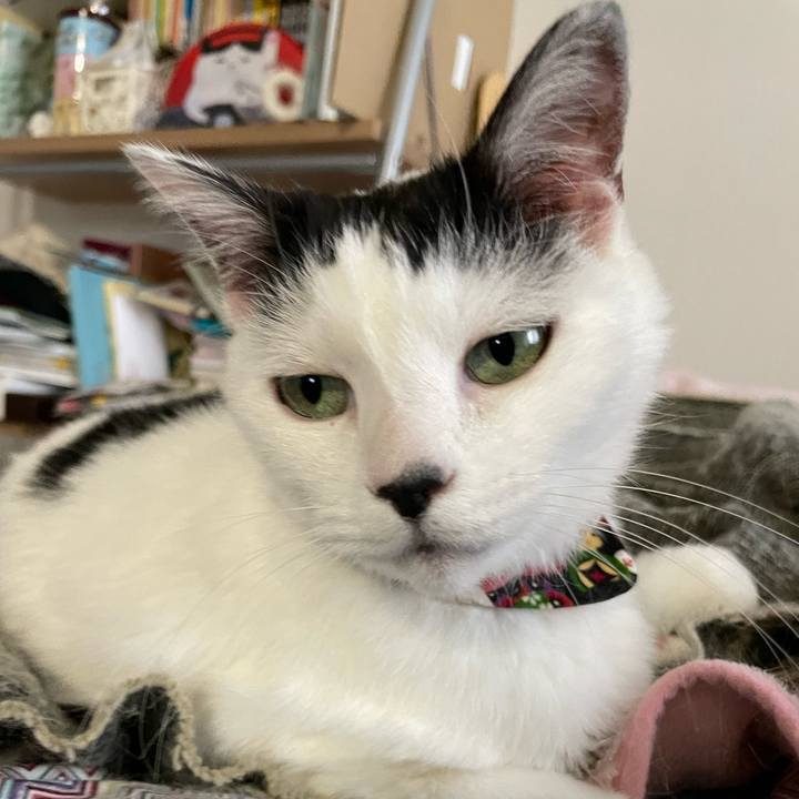 Dedbc932 dc70 466b a760 553f90085320 1639006285471