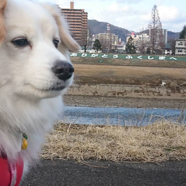 Dedbf866 99ea 4326 b7c4 516e77758313 1519193177739