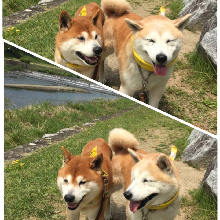 Dedc0ebe 2831 4983 a420 39c1dfb47eef 1524372277668