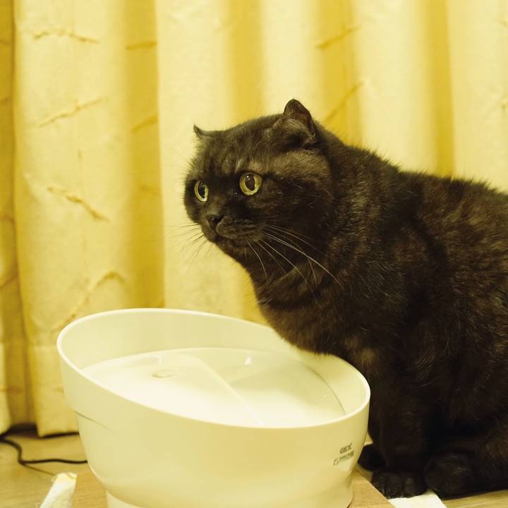 Dedc1a2f 58a2 4959 bc04 4ef8ad7d12e2 1606741077370