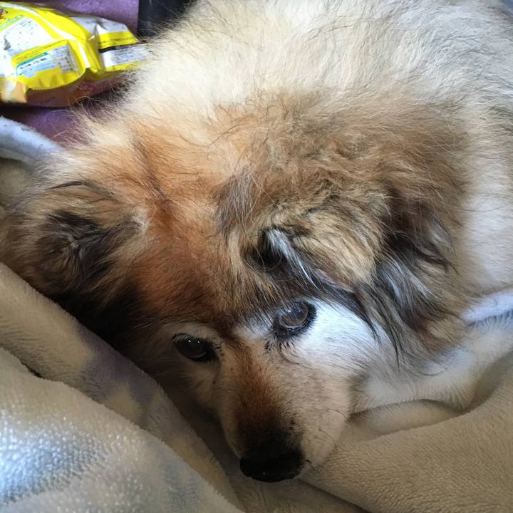 Dedc4456 670d 4fce 8eb3 8363f381cba3 1557198273738