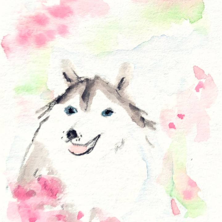 Dedc8520 11b4 4380 ab28 d679fd44b77e 1648946729322