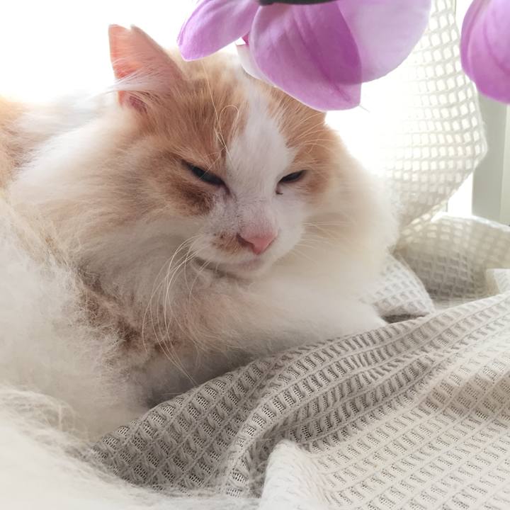 Dedcaa28 cf7b 4c6c b86d 7a599f740db1 1559777446346