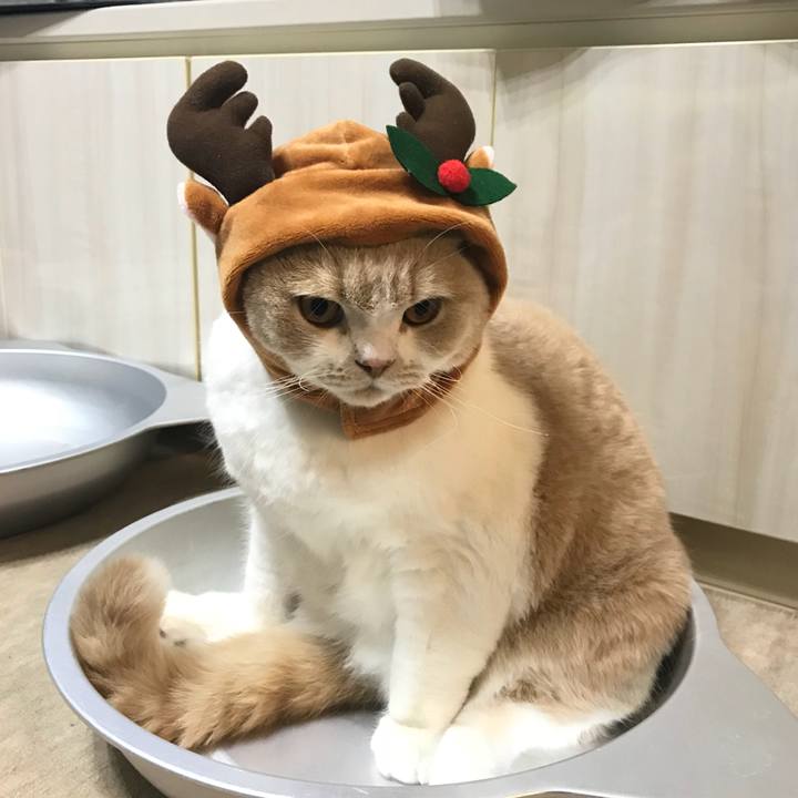 Dedce1ce bf67 4b3e a563 7189cff7e374 1513782136481