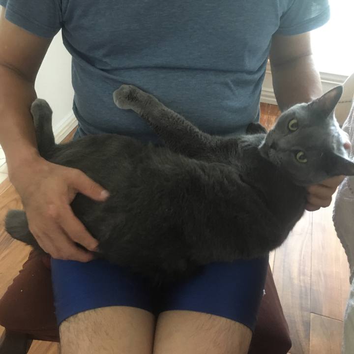 Dedcf0c0 54c7 40e7 a5f2 5be195e0309a 1662334353901