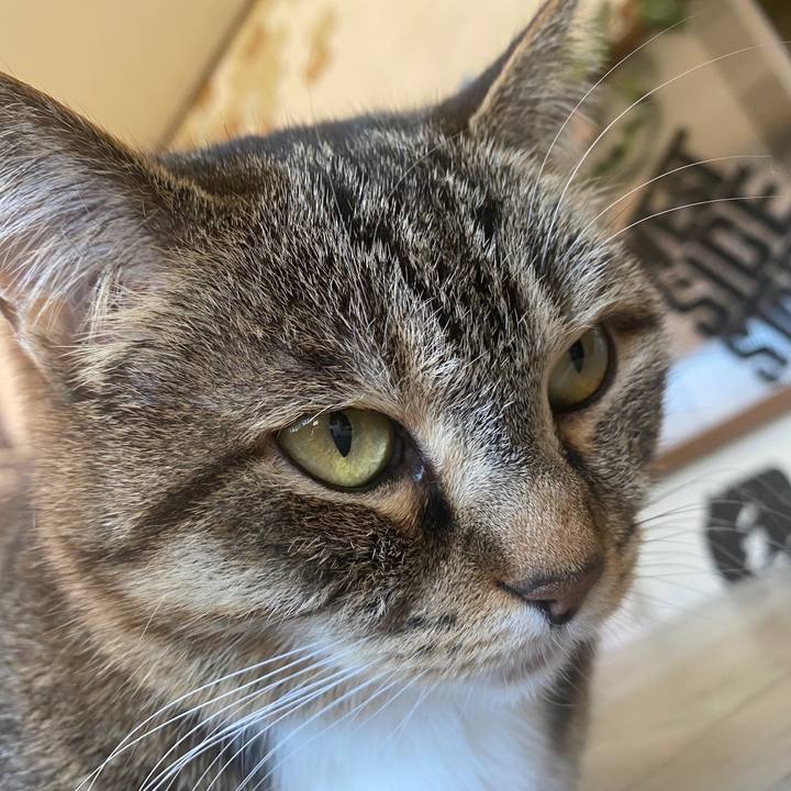 Dedd10ca fa12 418f 85f0 95ee9651f46c 1587269108044