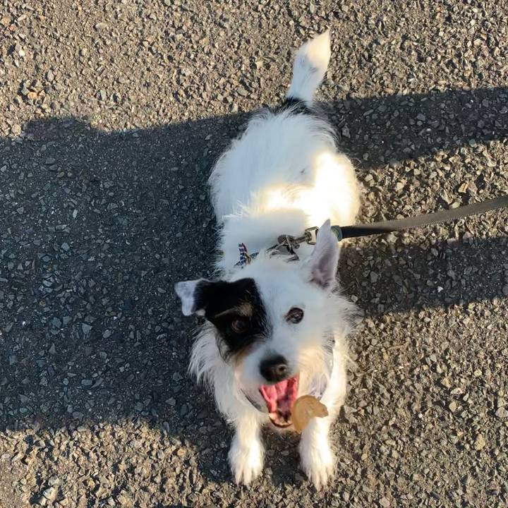 Dedd1fb6 e396 434b ab18 e120a460396d 1659687967732