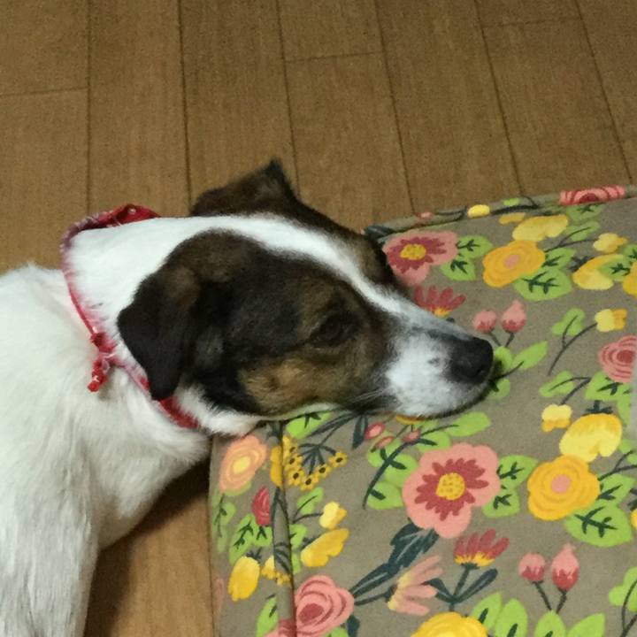 Dedd2372 e7c9 4f1c 954a 6dc000f7df16 1556797209950