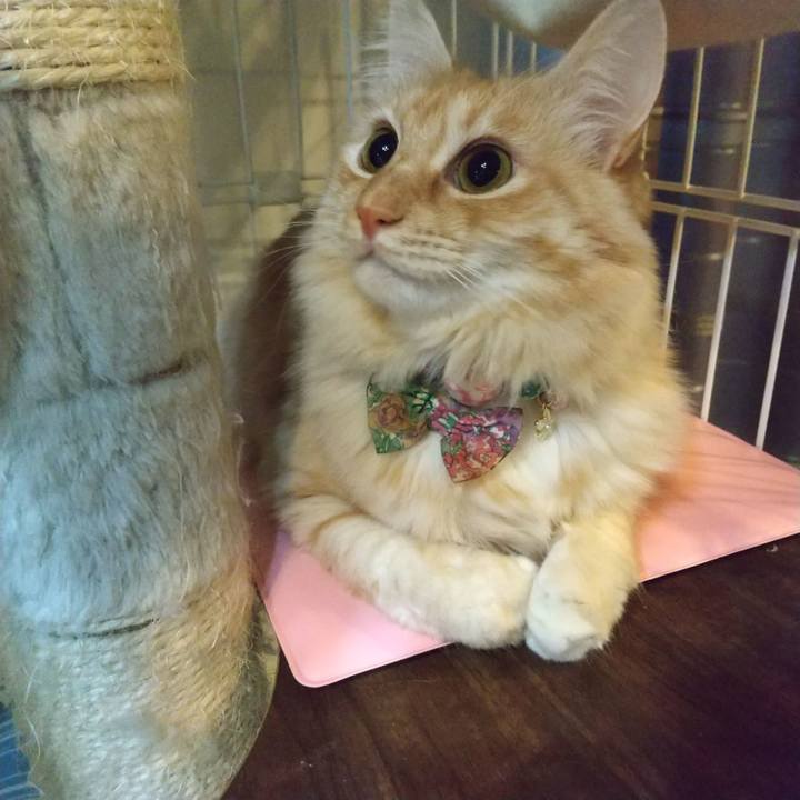 Dedd45cc df2e 4011 82e5 e2e874270b6a 1641250028549