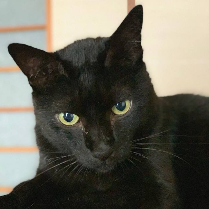 Dedd5457 476f 468d 9097 5bdcab4c7e9a 1566604597185