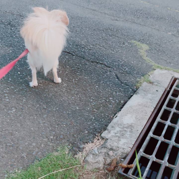 Deddb236 7c50 411a 852b 9662c7edb7e7 1692356507372