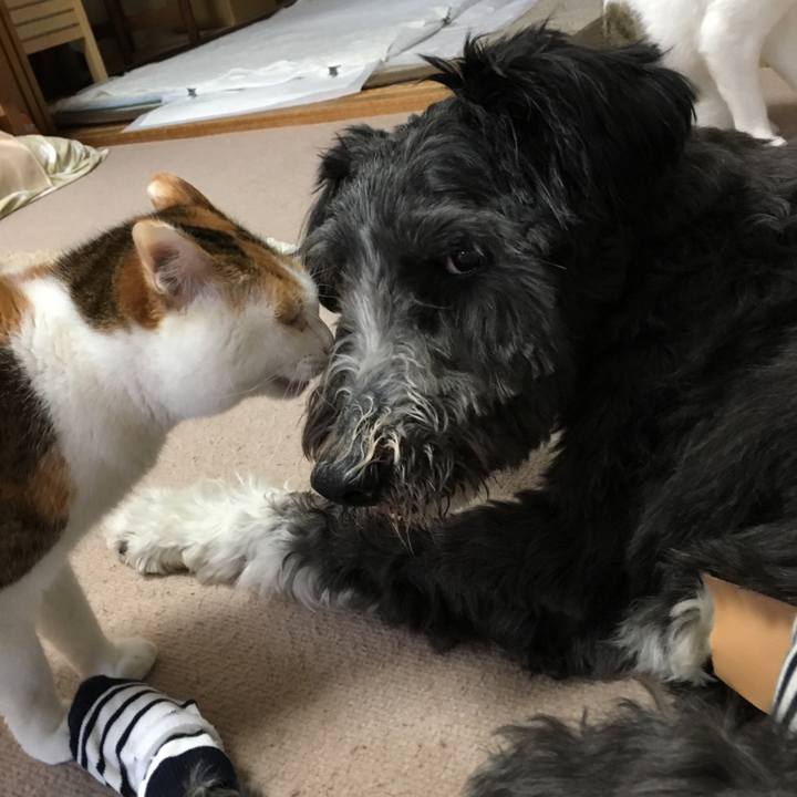 Deddbd08 1b46 4ce4 86aa b46422960bab 1603671230618