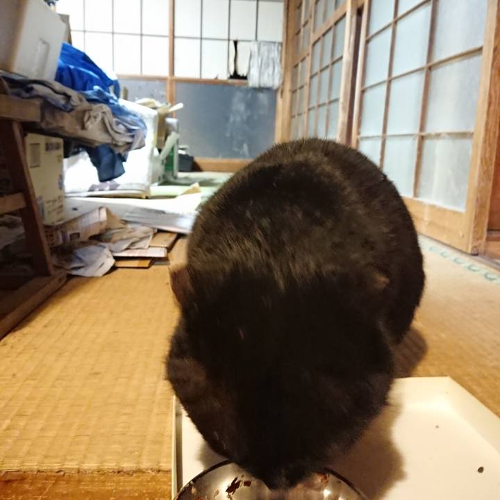 Deddcd77 84b0 4dcb ac2d 6d4d3ce647ba 1615200390168